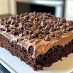 Chocolate Poke Cake