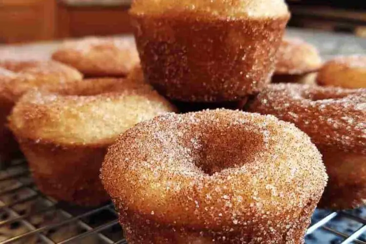Grandma’s Fluffy Cinnamon Sugar Donut Muffins Recipe