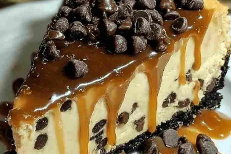 Salted Caramel Chocolate Chip Cheesecake Recipe