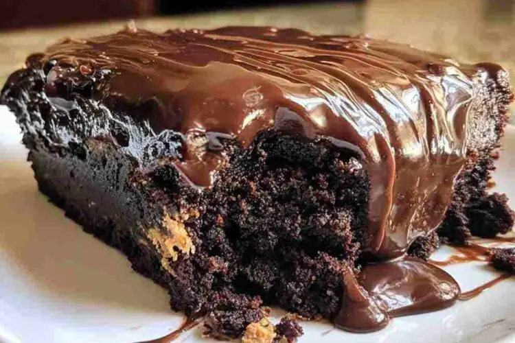 Hot Fudge Cake
