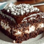 Mississippi Mud Cake