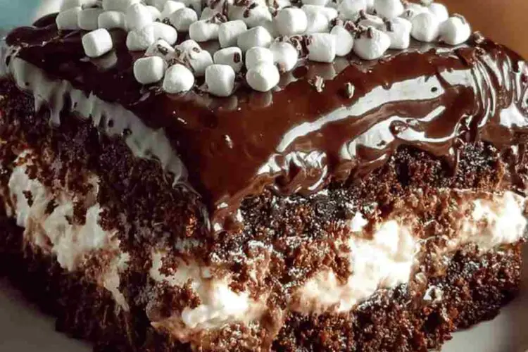 Mississippi Mud Cake