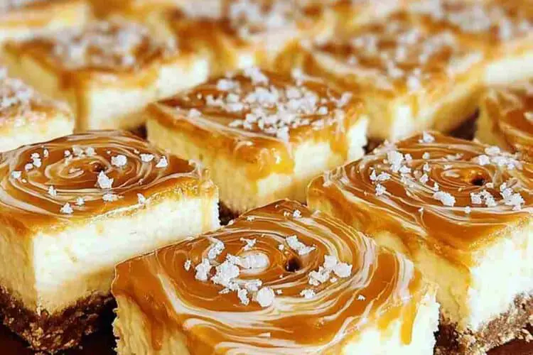 No Bake Salted Caramel Pretzel Cheesecake