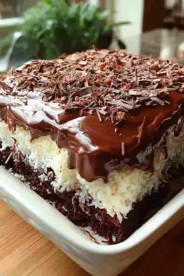 Choco Coconut Dream Cake