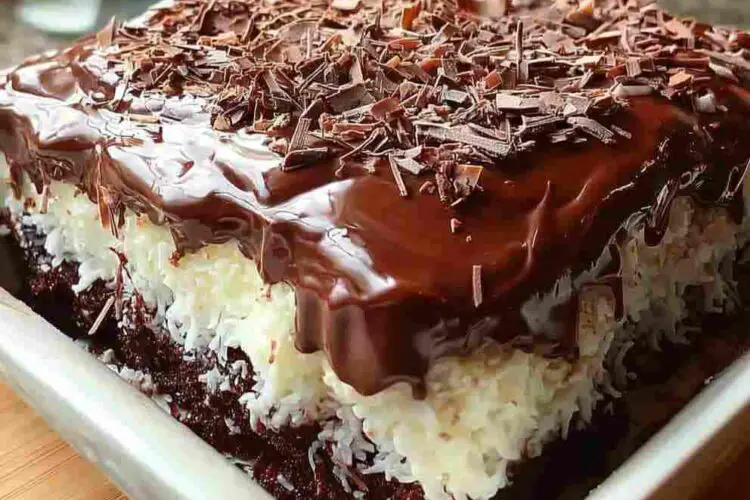 Choco Coconut Dream Cake