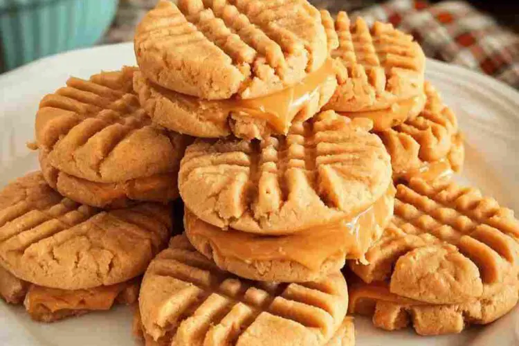 Homemade Copycat Nutter Butters