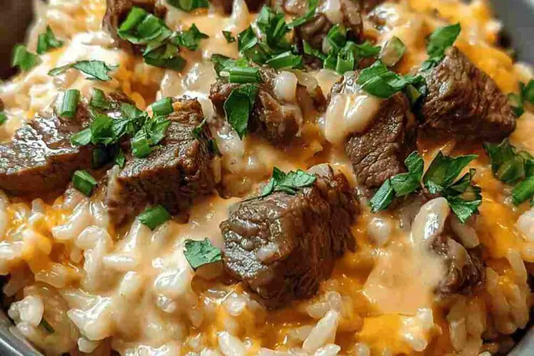 steak queso rice