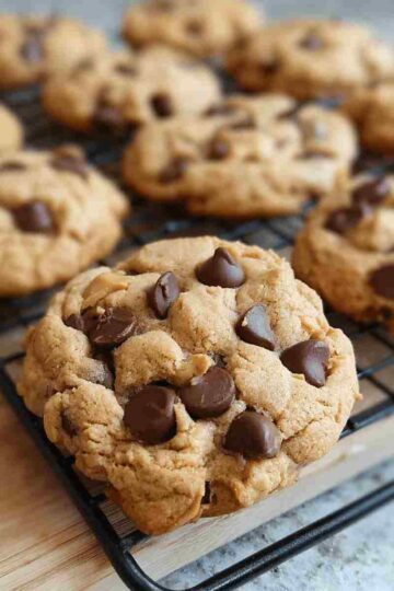 Moist Peanut Butter Chocolate Chip Cookies