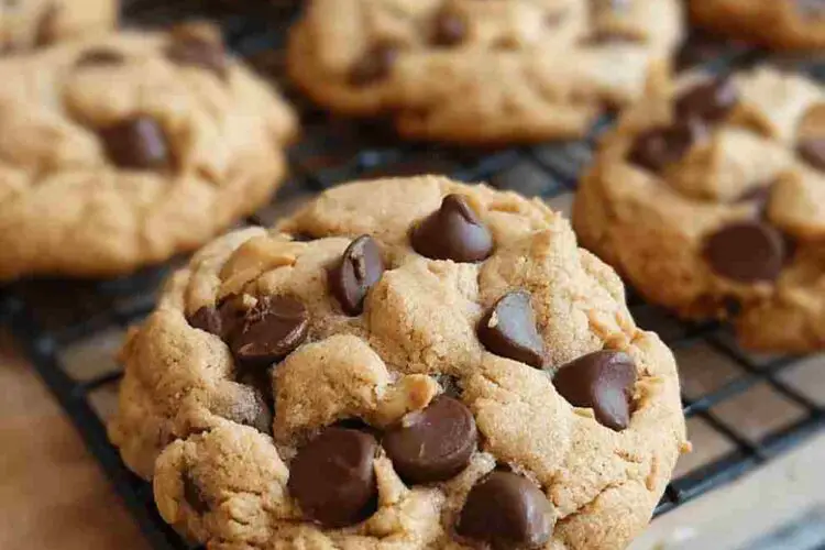 Moist Peanut Butter Chocolate Chip Cookies
