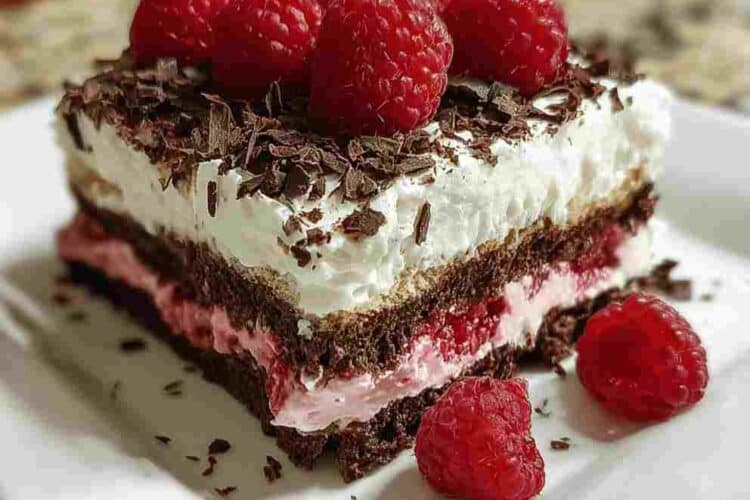 Raspberry Chocolate Lasagna
