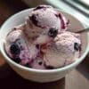 Blueberry Cottage Cheese Ice Cream