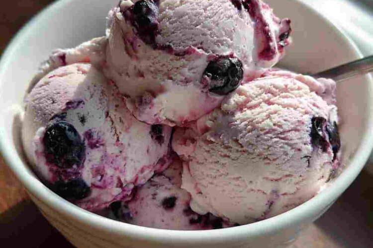 Blueberry Cottage Cheese Ice Cream