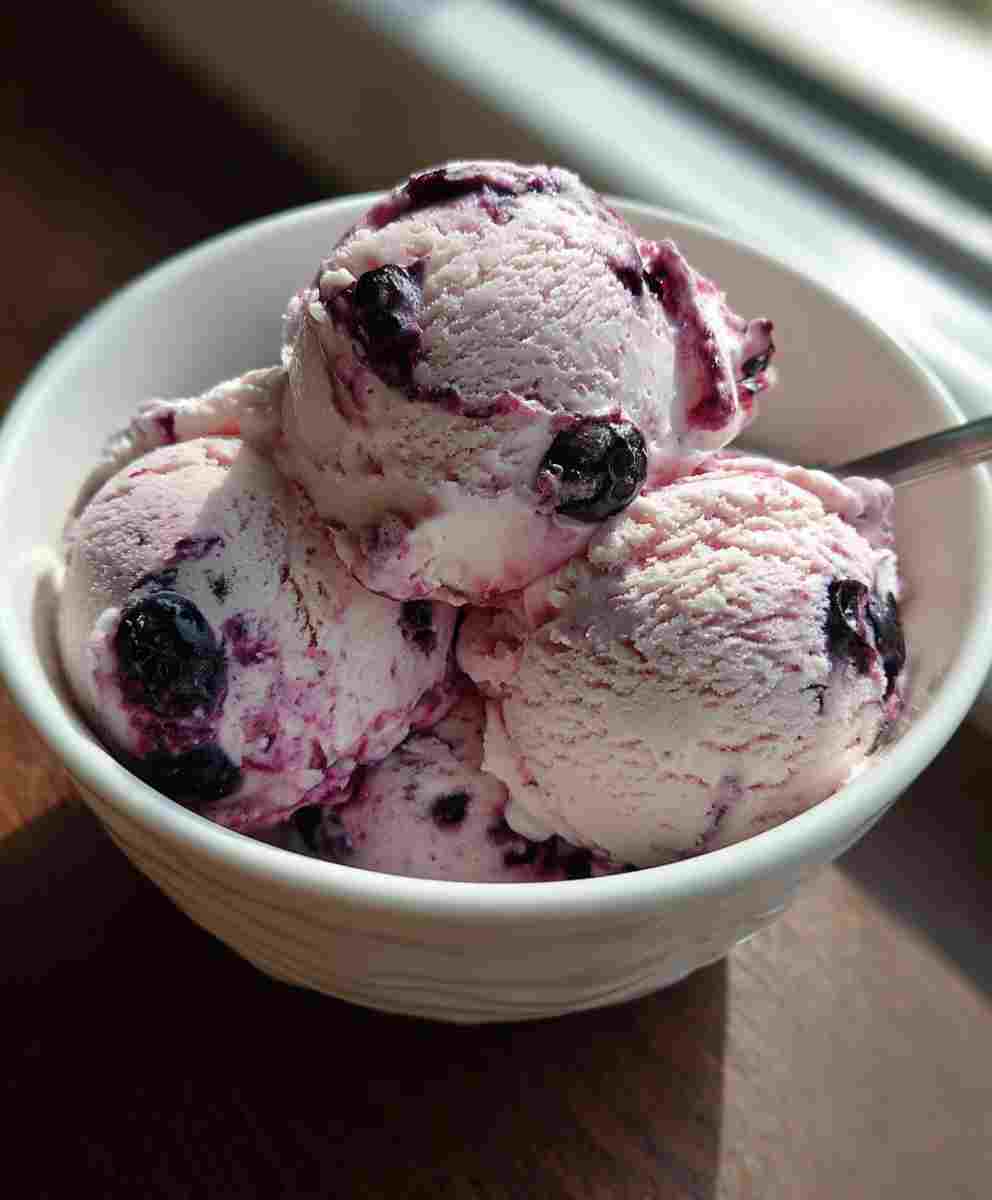 Blueberry Cottage Cheese Ice Cream