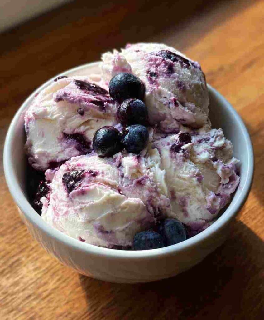 Blueberry Cottage Cheese Ice Cream